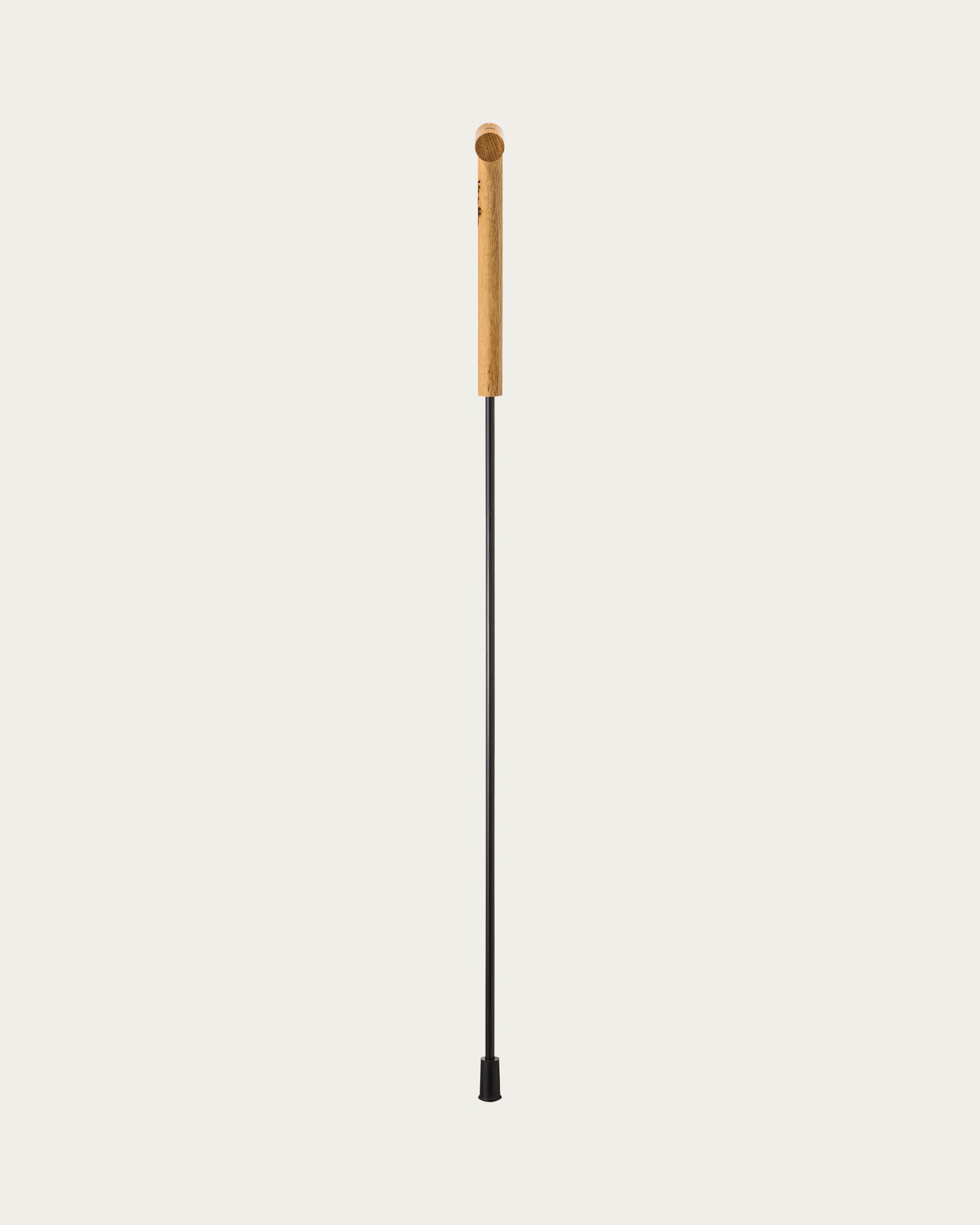 Vilhelm Hertz Cane