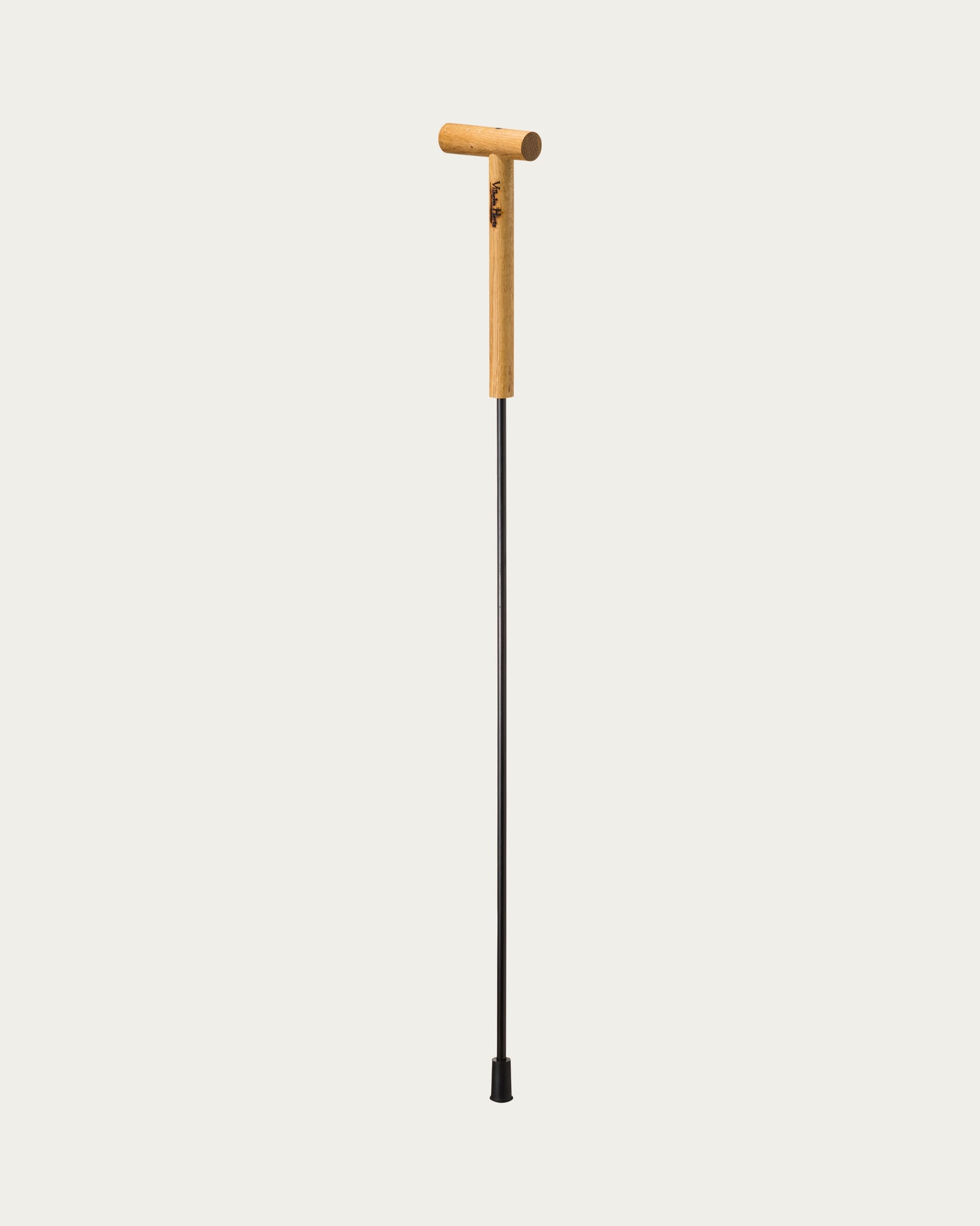 Vilhelm Hertz Cane