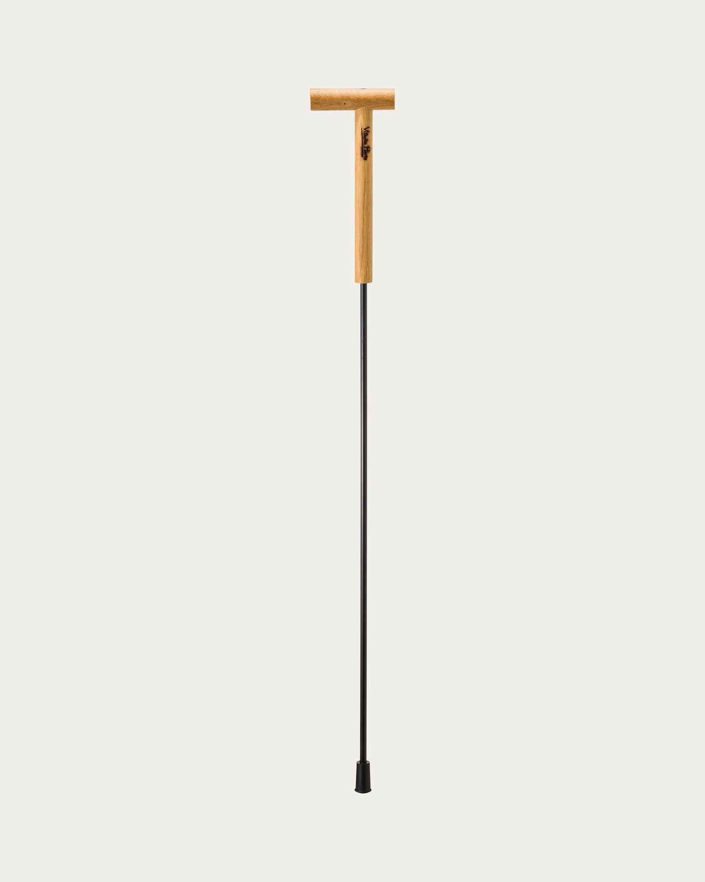 Vilhelm Hertz Cane