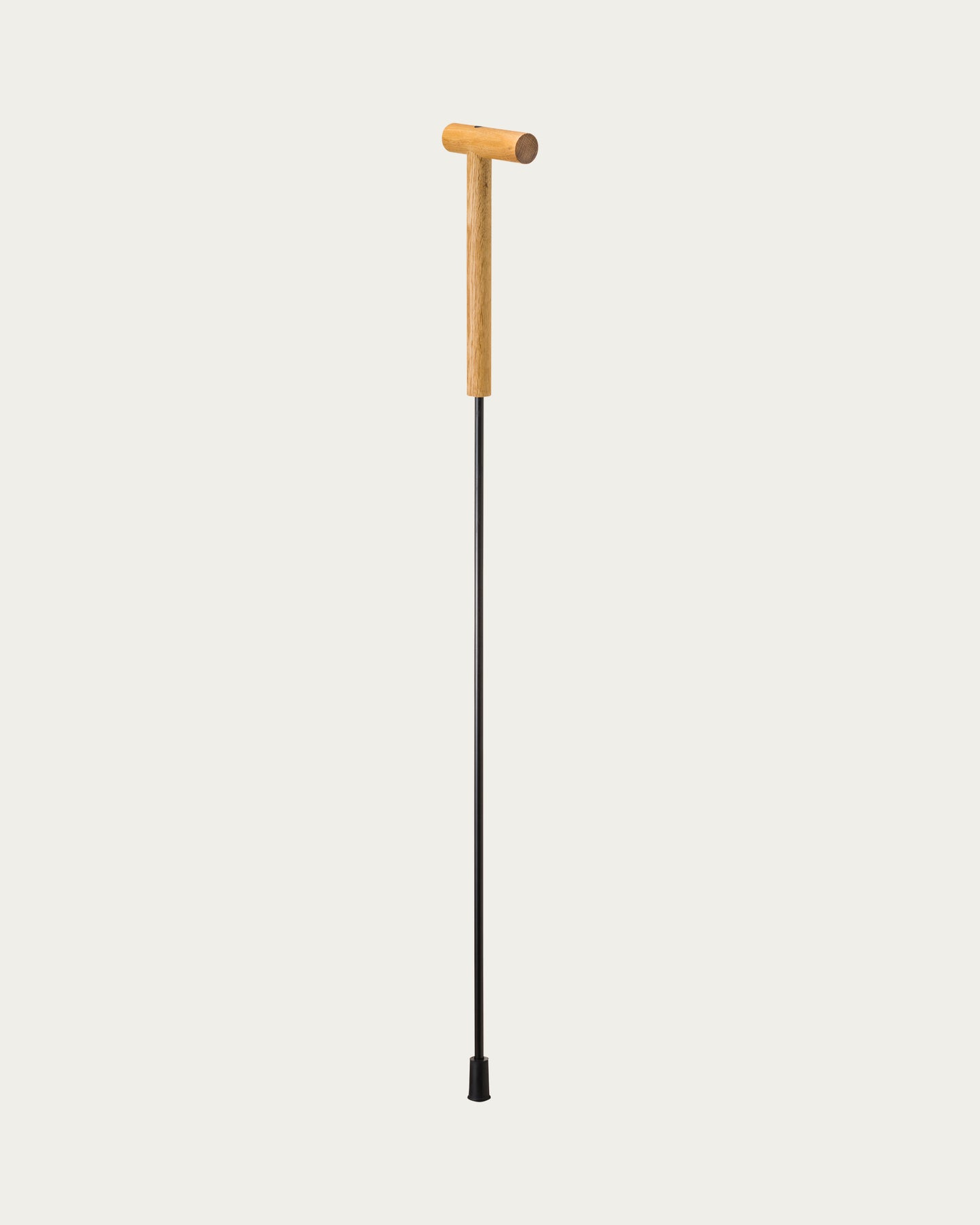 Vilhelm Hertz Cane